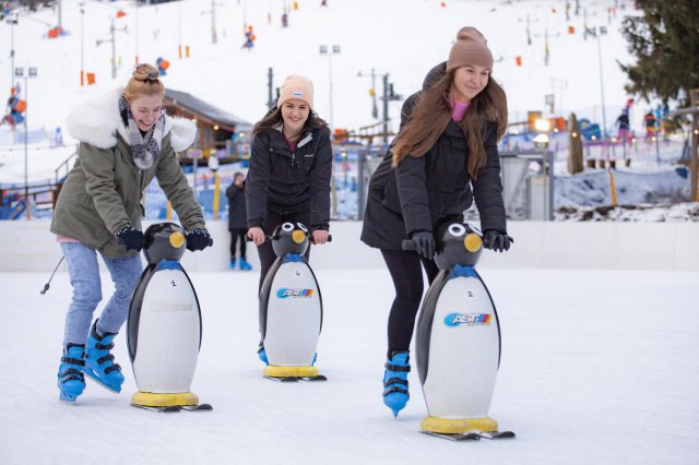 17 grudnia otwarcie Lodowiska Ice Arena Czarna Góra!