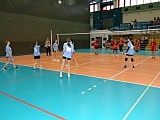 Turniej piłki siatkowej dziewcząt klas 7-8 szkół podstawowych 