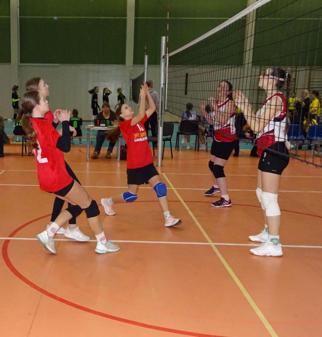 Turniej piłki siatkowej dziewcząt klas 7-8 szkół podstawowych 