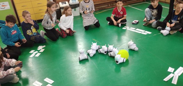 Laboratoria Przyszłości - roboty PHOTON