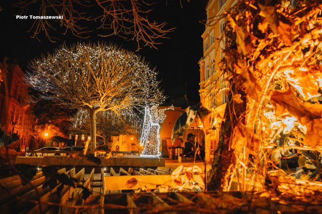Wybrano najpiękniejsze świąteczne fotografie ze Świdnicy [LISTA ZWYCIĘZCÓW, FOTO]