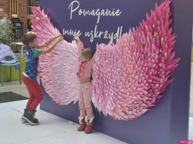 [FOTO] Galeria Świdnicka znów gra z Orkiestrą!