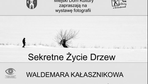 Wernisaż wystawy fotografii Sekretne życie drzew W. Kałasznikowa w MDK Świebodzice