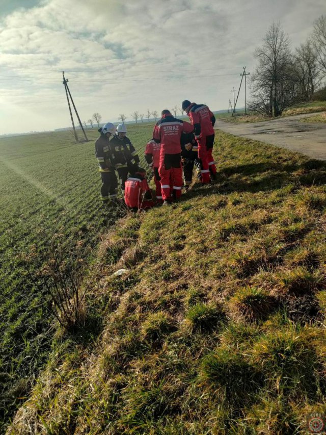 [FOTO] Bóbr wpadł do studzienki. Pomogli strażacy