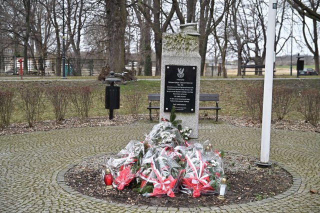 Strzegomianie pobiegli Tropem Wilczym [Foto, Wideo]