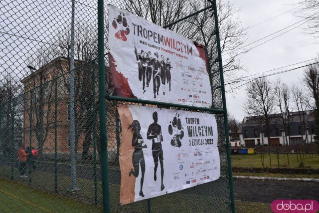 Strzegomianie pobiegli Tropem Wilczym [Foto, Wideo]