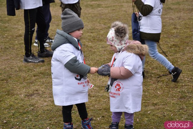 Strzegomianie pobiegli Tropem Wilczym [Foto, Wideo]