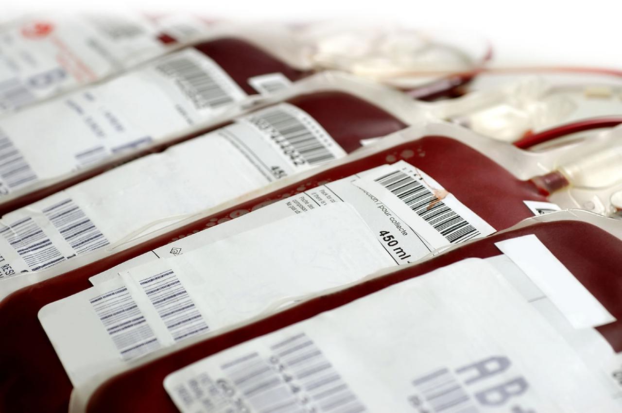 Oddawali krew w Strzegomiu [Foto]