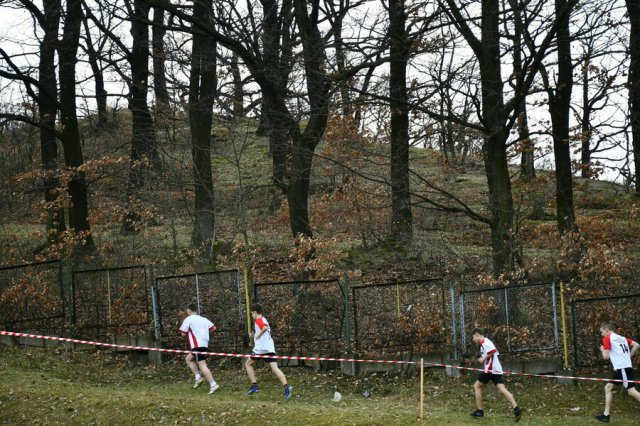 Wystartowały sztafetowe biegi przełajowe w Świebodzicach [Foto]