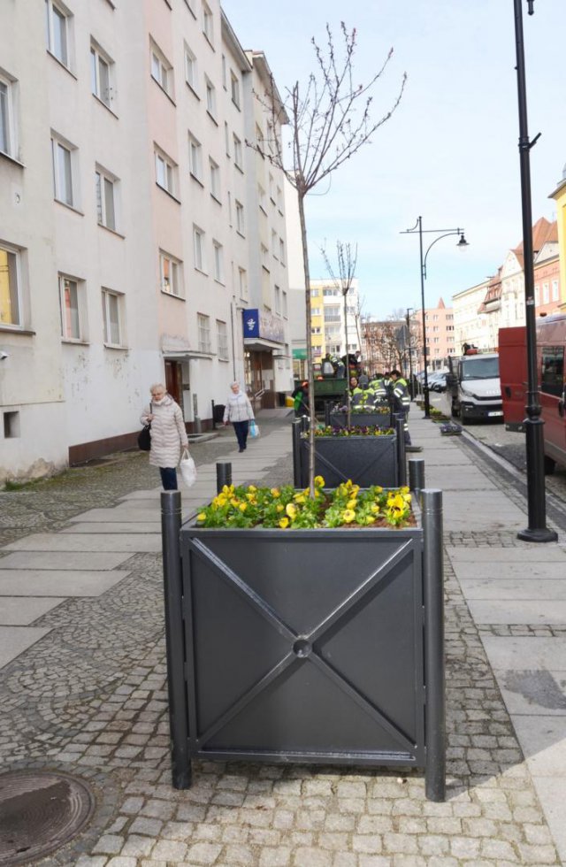 Ulica Dąbrowskiego w Strzegomiu z kolorowymi kwiatami [Foto]