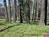 Wiosna w Parku Sikorskiego [Foto]