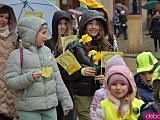 Żółty Marsz Nadziei przeszedł przez świdnicki rynek. To zwieńczenie akcji rozpoczętej jesienią [Foto]