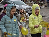 Żółty Marsz Nadziei przeszedł przez świdnicki rynek. To zwieńczenie akcji rozpoczętej jesienią [Foto]