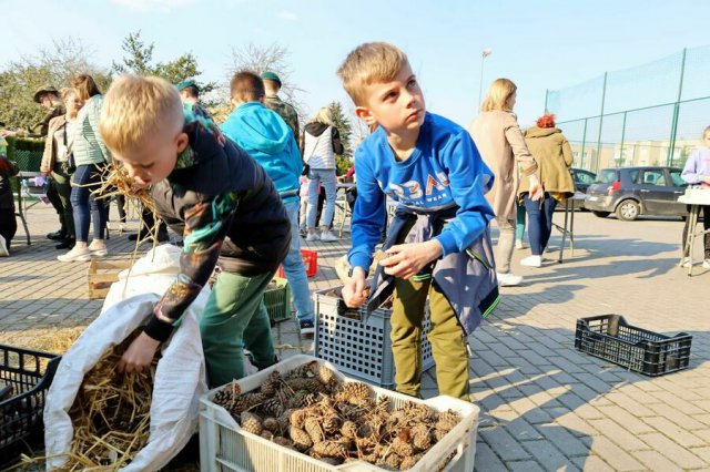 Tworzyli ekodomki w Żarowie [Foto, Wideo]