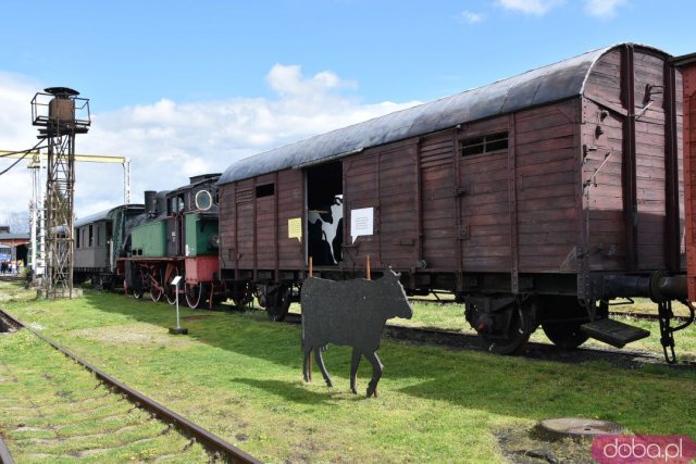 Siedemnasta majówka w Muzeum Kolejnictwa. Zobacz wjazd zabytkowego parowozu [Foto, Wideo]
