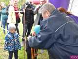 Wystartowali w Jubileuszowym Biegu Pamięci w Rogoźnicy [Foto]