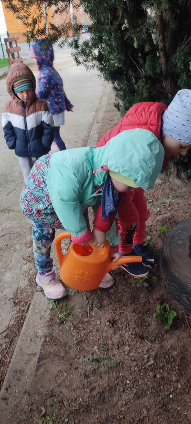 grafika
