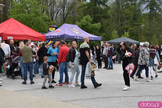 Świdniczanie wspierają Liliankę. Tłumy na pikniku charytatywnym dla chorej dziewczynki [Foto]