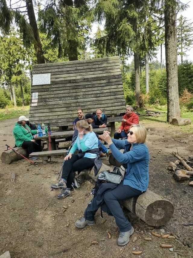 Żarodreptaki na Wielkiej Sowie [Foto]