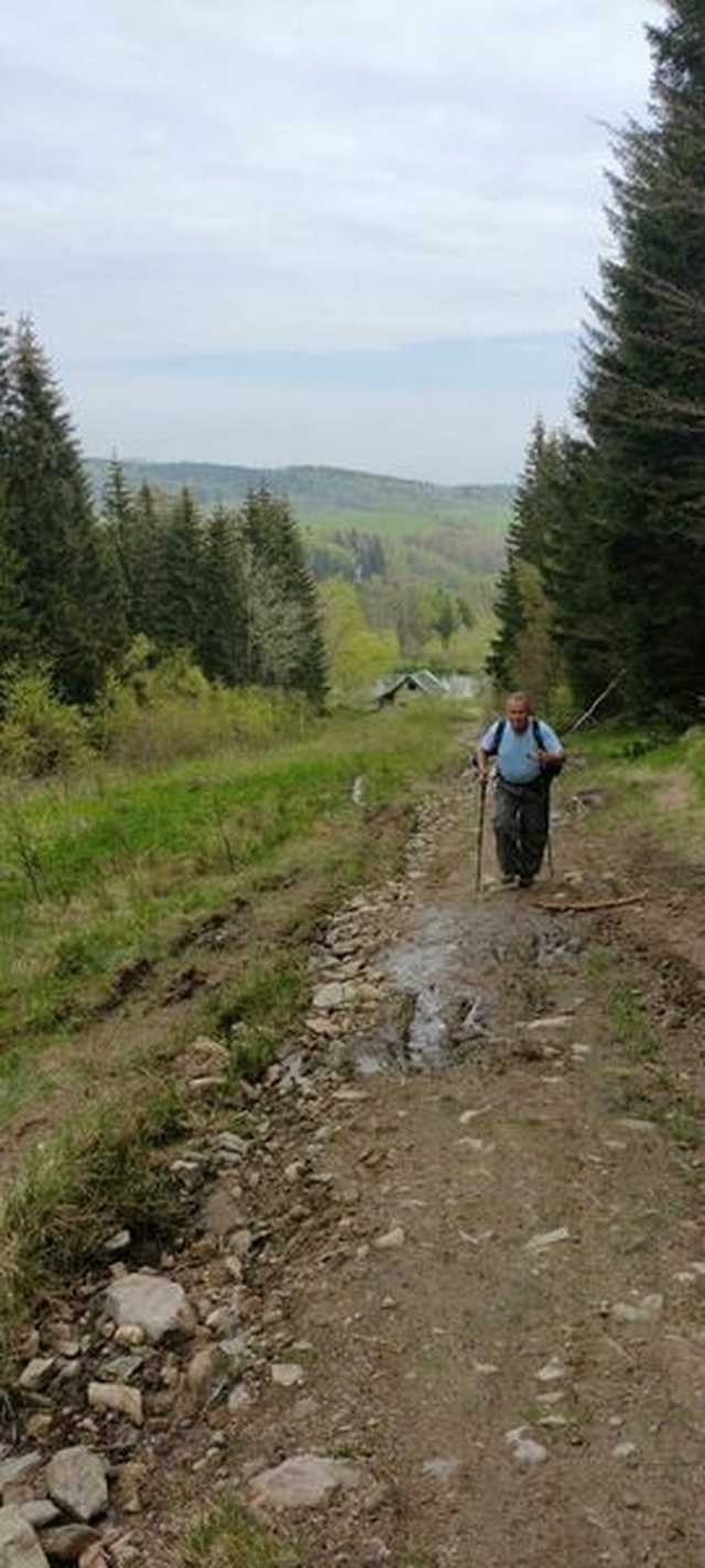 Żarodreptaki na Wielkiej Sowie [Foto]