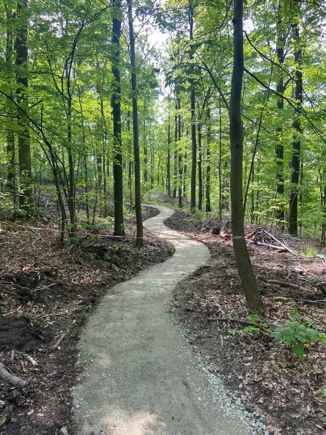 Rozpoczęto budowę pierwszej pętli single track w Bystrzycy Górnej [Foto]