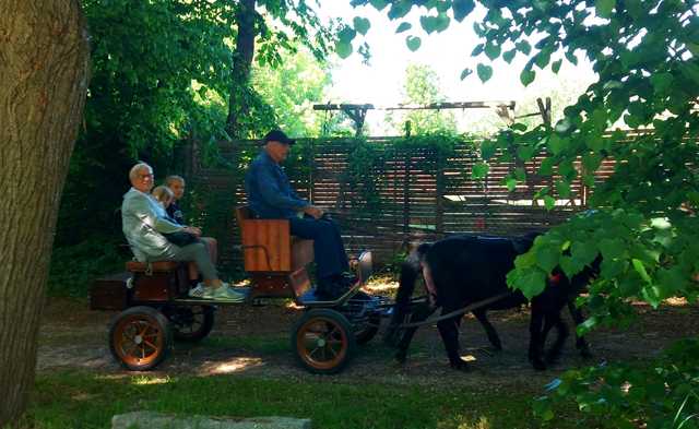 Piknikowo na Dniu Dziecka w Milikowicach [Foto]