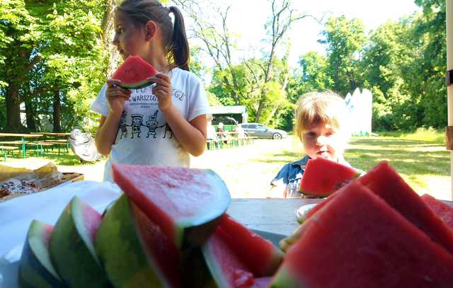 Piknikowo na Dniu Dziecka w Milikowicach [Foto]