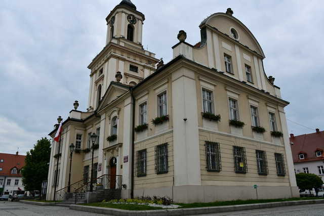 Kwiaty ozdobiły świebodzickie ulice [FOTO]