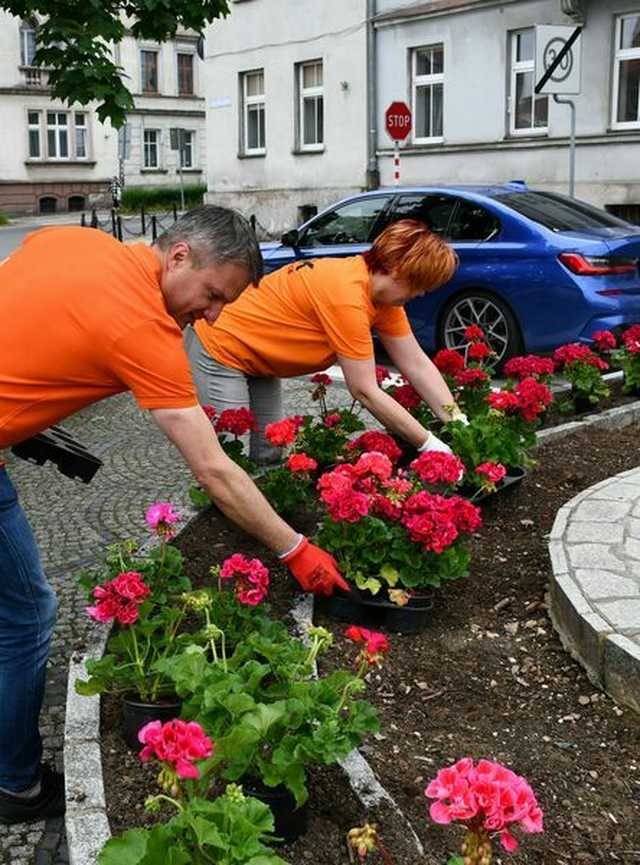 Kwiaty ozdobiły świebodzickie ulice [FOTO]