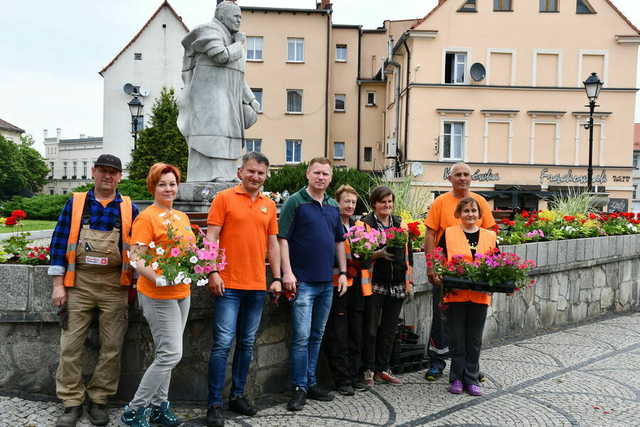 Kwiaty ozdobiły świebodzickie ulice [FOTO]