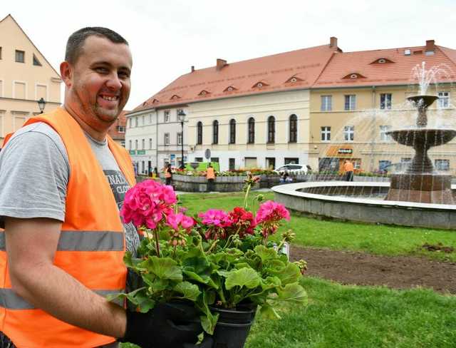 Kwiaty ozdobiły świebodzickie ulice [FOTO]