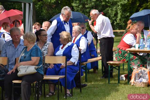 Przywitali Lato w Goczałkowie podczas Koncertu Zespołów Folklorystycznych [FOTO, WIDEO]