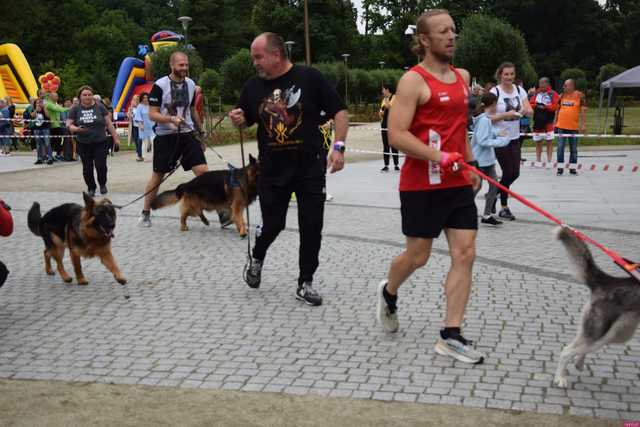 Bieg charytatywny dla zwierząt ze schroniska w Świdnicy już 2 lipca. Jak wziąć udział? [SZCZEGÓŁY]