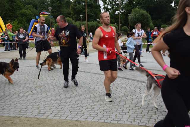 Bieg charytatywny dla zwierząt ze schroniska w Świdnicy już 2 lipca. Jak wziąć udział? [SZCZEGÓŁY]