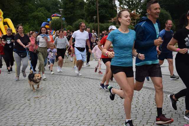 Bieg charytatywny dla zwierząt ze schroniska w Świdnicy już 2 lipca. Jak wziąć udział? [SZCZEGÓŁY]