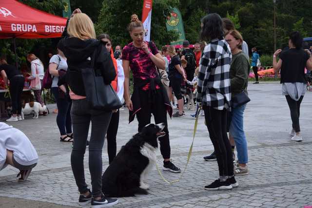 Bieg charytatywny dla zwierząt ze schroniska w Świdnicy już 2 lipca. Jak wziąć udział? [SZCZEGÓŁY]