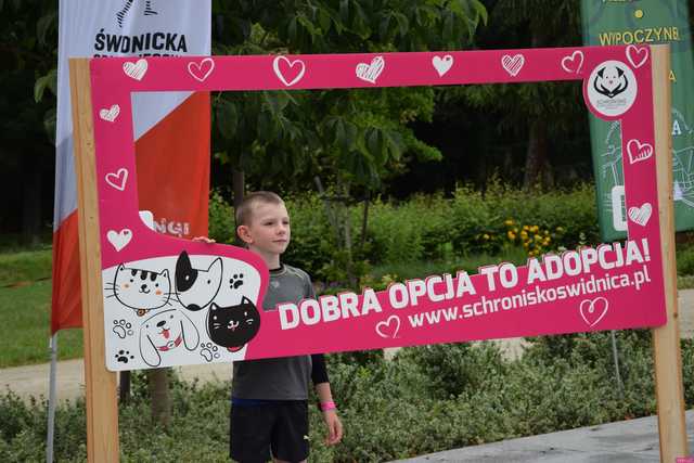 Bieg charytatywny dla zwierząt ze schroniska w Świdnicy już 2 lipca. Jak wziąć udział? [SZCZEGÓŁY]