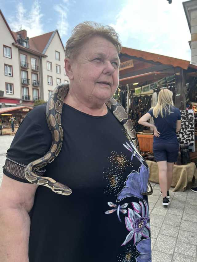 Aktywni, bezpieczni i ciekawi świata, czyli seniorzy w gminie Świdnica [FOTO]