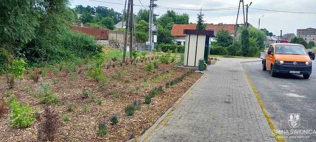 [FOTO] Kolejne zielone przystanki cieszą oko