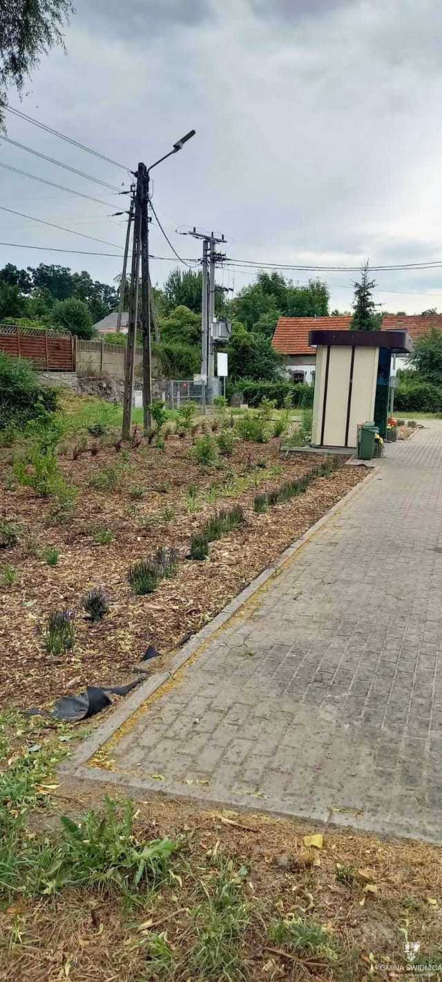 [FOTO] Kolejne zielone przystanki cieszą oko