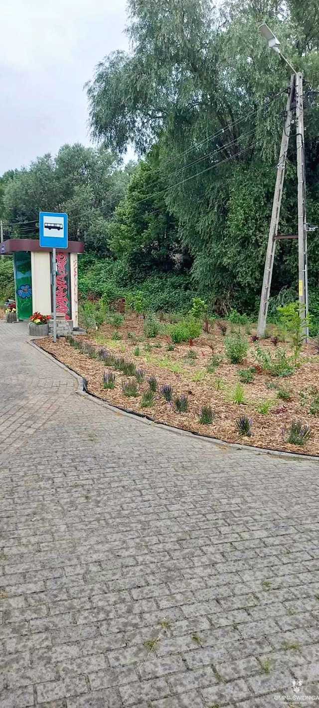 [FOTO] Kolejne zielone przystanki cieszą oko
