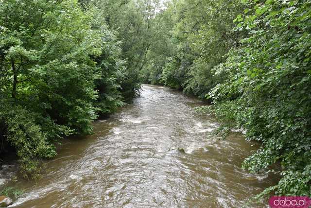 [AKTUALIZACJA DANYCH, FOTO] Jaki jest stan rzek w powiecie świdnickim?