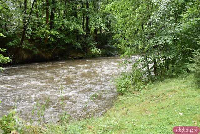 [AKTUALIZACJA DANYCH, FOTO] Jaki jest stan rzek w powiecie świdnickim?