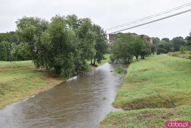 [AKTUALIZACJA DANYCH, FOTO] Jaki jest stan rzek w powiecie świdnickim?