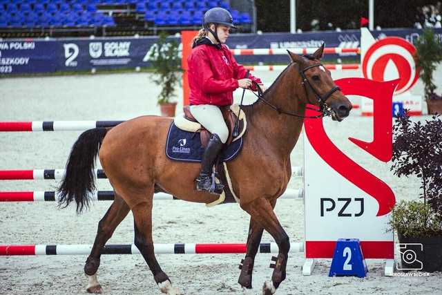Mistrzostwa Polski w jeździectwie w Białym Lesie za nami [FOTO]