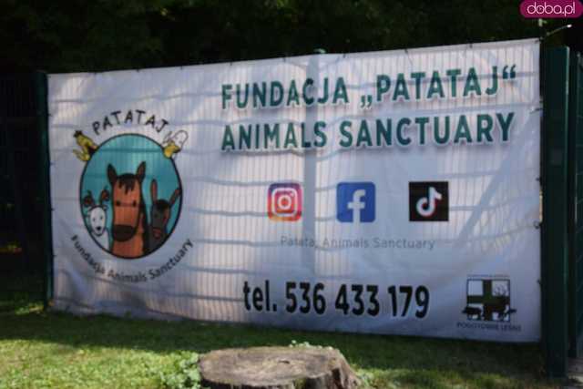 [FOTO] Świetna zabawa i szczytny cel. Fundacja Patataj Animals Sanctuary zaprasza na piknik