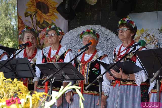 [FOTO] Mieszkańcy gminy Dobromierz podziękowali za plony. Trwają dożynki gminne w Borowie