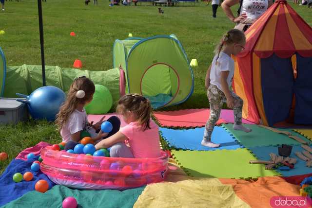 [WIDEO, FOTO] Moc atrakcji na Pikniku Lotniczym w Świebodzicach