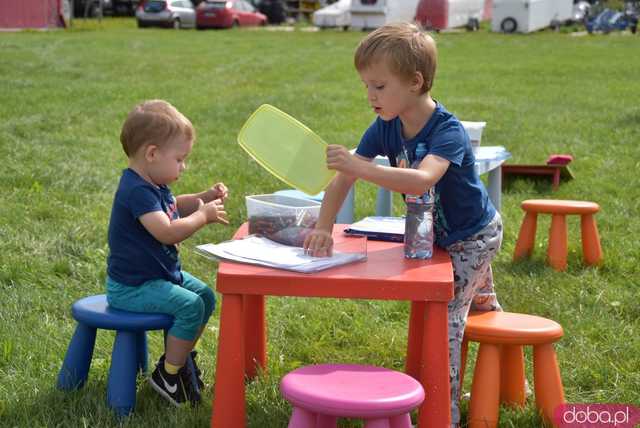 [WIDEO, FOTO] Moc atrakcji na Pikniku Lotniczym w Świebodzicach