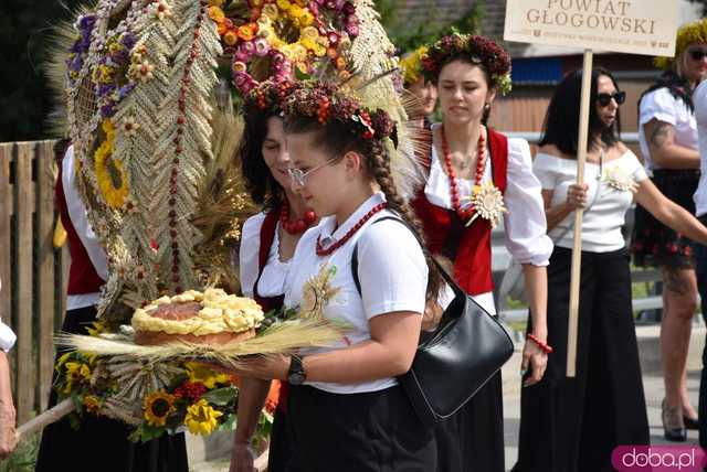 [WIDEO, FOTO] Uroczysty korowód i tradycyjne obrzędy rozpoczęły Dożynki Wojewódzkie w Szczepanowie